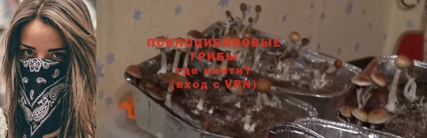 тгк Алексин