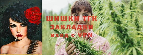 тгк Алексин